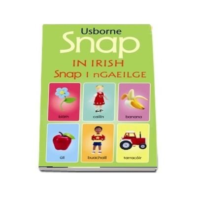 Snap [ Learning Games ] Irish - Wee Little Books